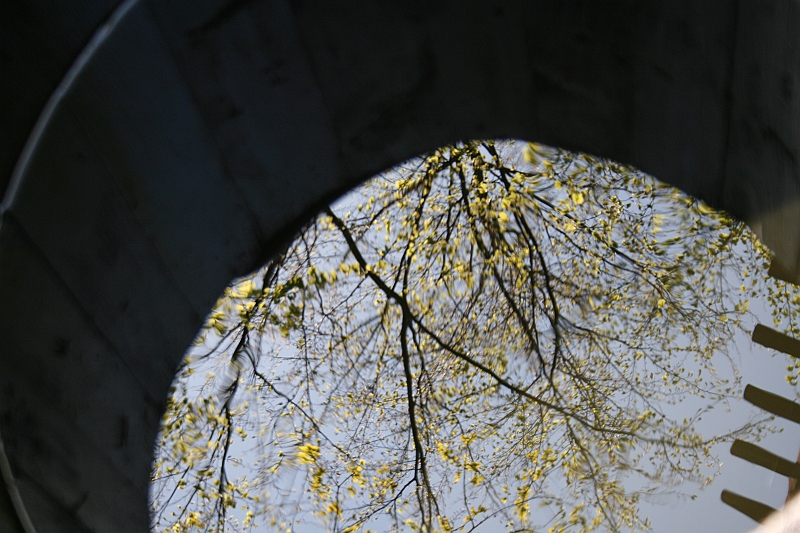 a 093